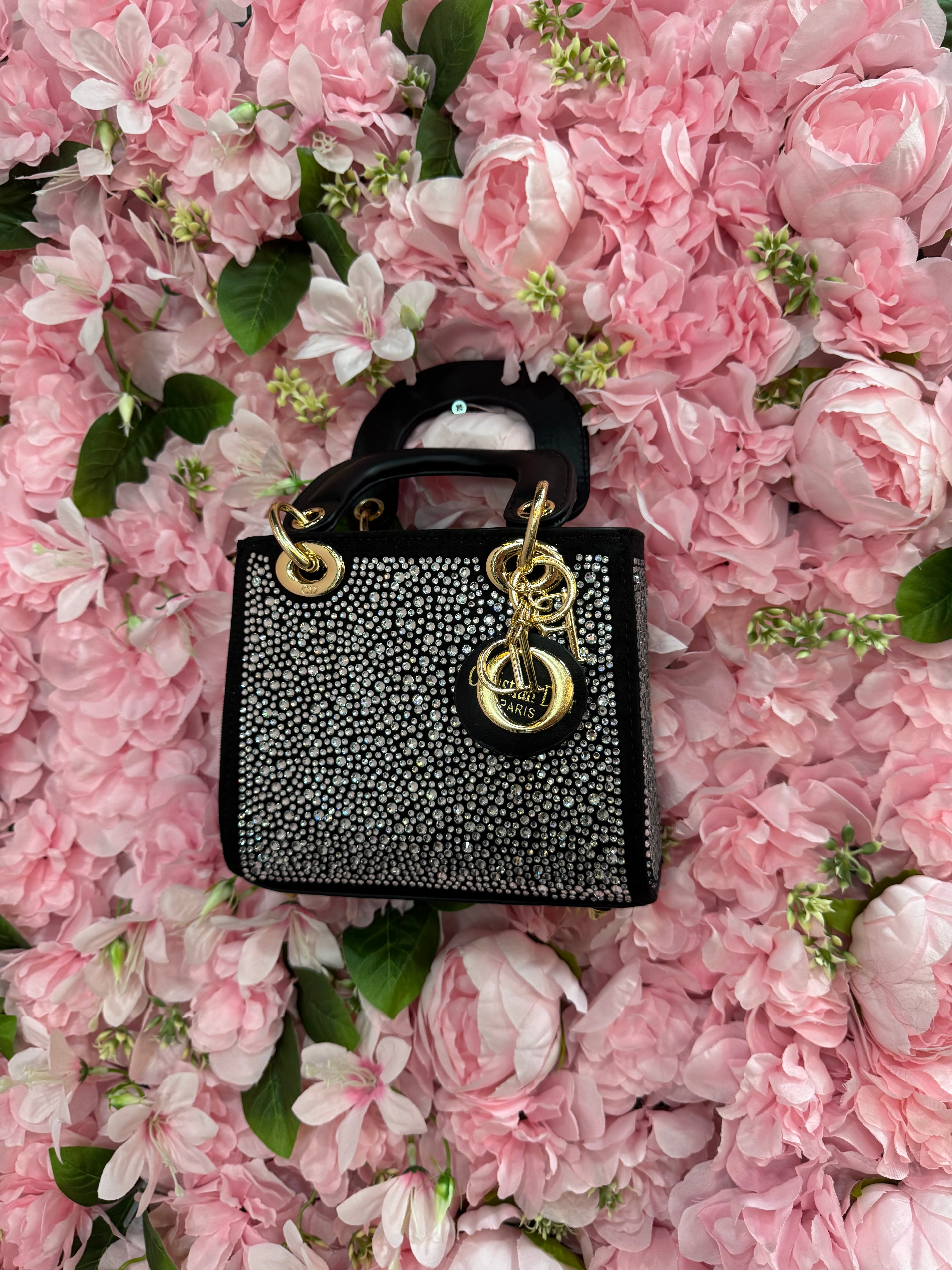 Lady Dior stras bag