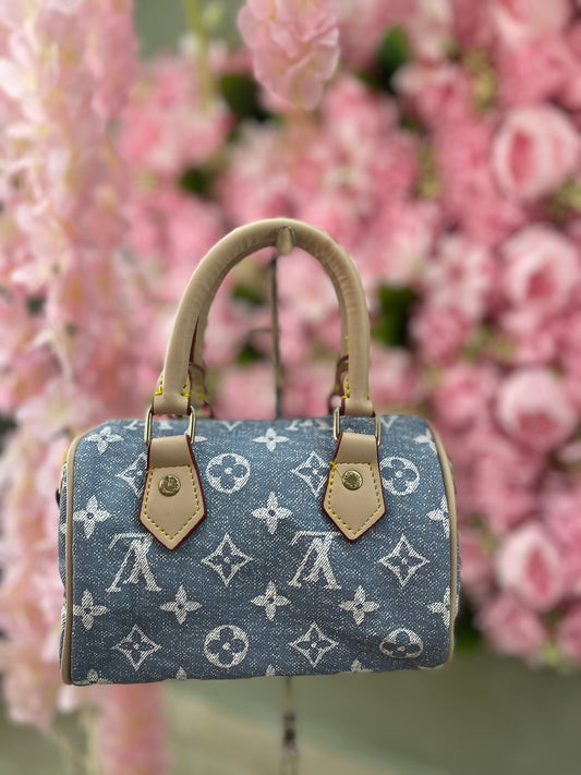 Louis Vuitton Nano Speedy