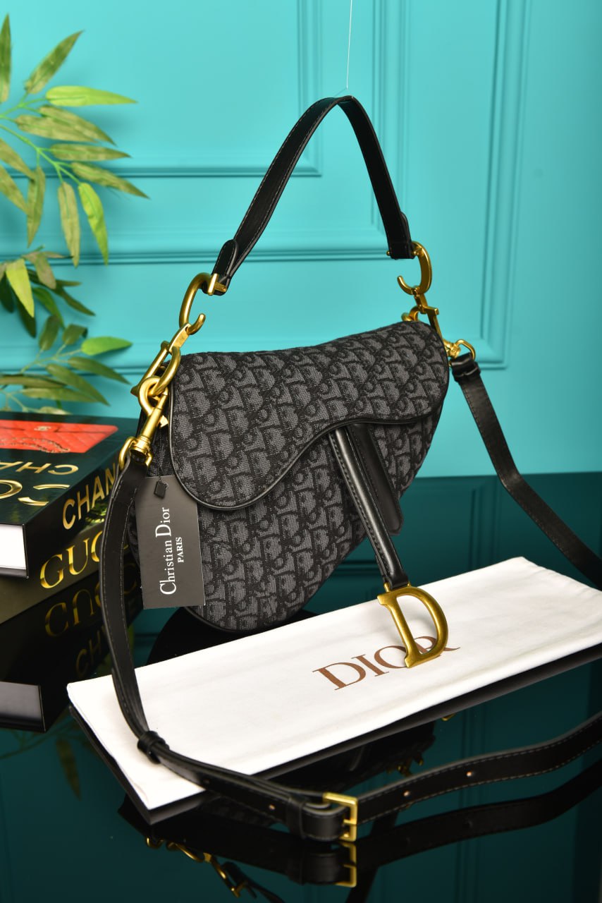 Dior Saddle Bag